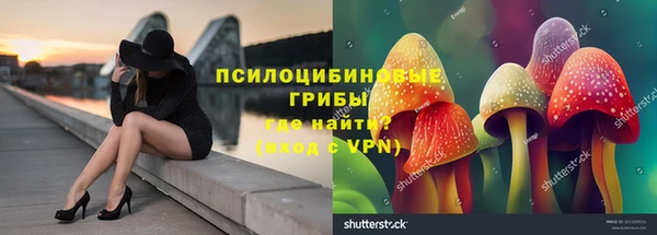 mdpv Зеленодольск