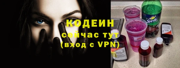 амф Инта