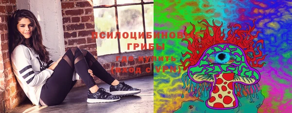 крисы Иннополис