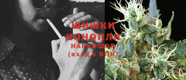 амф Инта