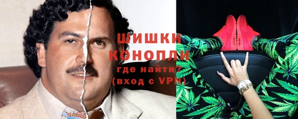 индика Зеленокумск