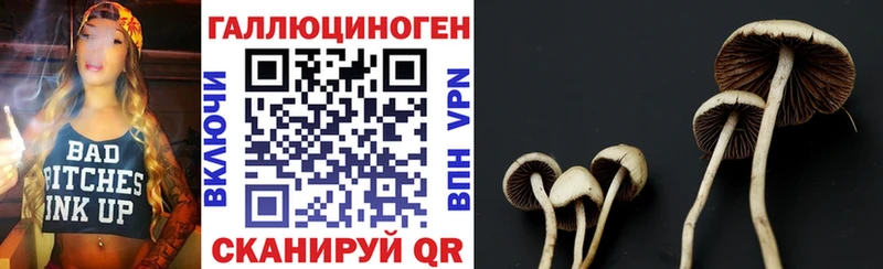 Купить закладки  Дятьково  Псилоцибиновые грибы ЛСД 